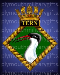 HMS Tern Magnet